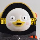 교원학원 이미지