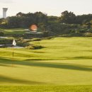 에스에스모터스 이미지