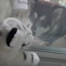 백호게임장 이미지