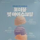 댕린이 보호구역 이미지