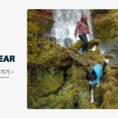 루이스독 이미지