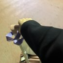 제주항공 제주예약센터노동조합 | 대가족 제주도 2박3일 여행 #1일차 : 제주항공 애견동반, 제주레일바이크, 용눈이오름, 새연교, 괸당네...