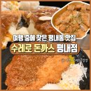 수레로 돈까스 | 여행 중 찾은 평내동 맛집 수레로 돈까스 평내점 후기