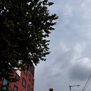 주식회사 오아제썸푸드 | 대학로연극추천내돈내산 한뼘사이 생애 처음 연속으로 보러 간 경험