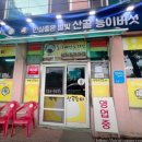 별빛 산골 능이버섯 이미지