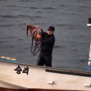 동해황금어장