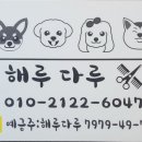 해루다루 Daum카페
