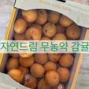 드림제주