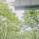 신정1동자치회관 네이버블로그