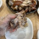 돈야돈왕족발 - 4309 | 돈야돈왕족발