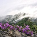 명당 이미지