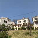 로만티카 이미지