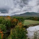 계룡산약국 이미지