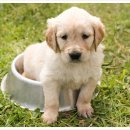 익싸이팅 이미지