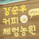 강순후커피농장