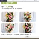 포지몰