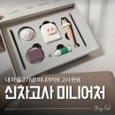 미니어처 우리집 | 현대 신차 고사 미니어처 아이오닉 5 신차 고사 후기