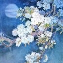 &#34;벚꽃 (Cherry Blossom)&#34; 그림 모음 이미지