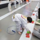 경희대 인하 태권도 이미지