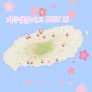 광령3급정비센타 | 제주도벚꽃지도로 제주봄여행 계획해봐요.
