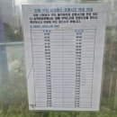 세븐일레븐(진해남양칸점) | 진해에서 부산 사상까지 단돈 4,000원? 동아여객 직접 타본 후기🚌
