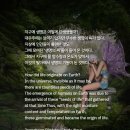 태초에 Daum카페