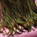 허브헤어샵 이미지