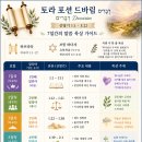 토라포션 드바림 7일 스케줄 이미지