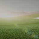 대신 스포랜드 이미지