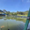 배내미낚시터 이미지