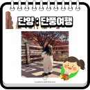 28개월 아기와 떠난 단양 단풍여행 - 소노문 단양 / 단양구경시장 / 단양보발재전망대 / 단양 구인사