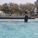 배달육회 육회한가득 구의점 | 강원도 여행 체스터 톤스 속초 배달 맛집 육회 더잡수소