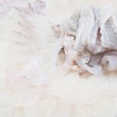 극동카써비스 이미지