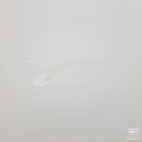 프리그라운드 이미지
