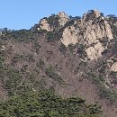 거북골길 티스토리