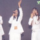 미스터케이
