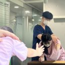서울본정형외과의원 네이버블로그