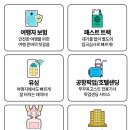베트남 푸꾸옥 여행 준비물 보험 패스트트랙 올인원 날씨