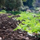 손해평가사 1차 - 상법 보험편 이미지