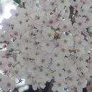 은파관광지 이미지