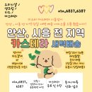 미스터카스테라 - 관악구 남부순환로248길 15 | 미스터카스테라