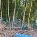 죽순농원식당 이미지