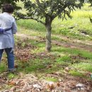 오광농장 이미지