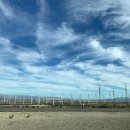 팜스프링스 이미지