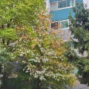 정원약품 이미지