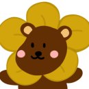 새이화음악학원 이미지