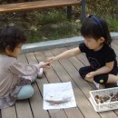 아이숲어린이집 이미지