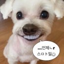 줌바댄스 | 정자동 현댄스 스튜디오에서 줌바댄스로 스트레스 풀고 온 후기 | 주차 | 위치(E-14)