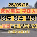 넘버25구미