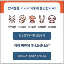 멍실장 이미지